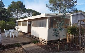 Mobil Home A Louer Dans Camping Des Cigales Le Muy 5 Etoiles