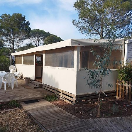 Mobil Home A Louer Dans Camping Des Cigales Le Muy 5 Etoiles Extérieur photo